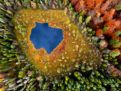 A view over a lake in a forest whose tree's changing foliage display their vibrant autumnal colours.